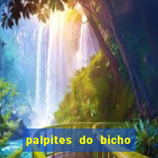 palpites do bicho no celular