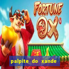 palpite do xande de hoje