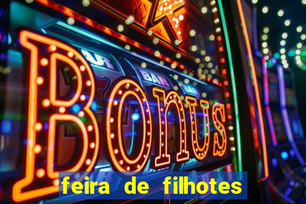 feira de filhotes porto alegre