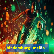 hindemburg melão jr fortuna