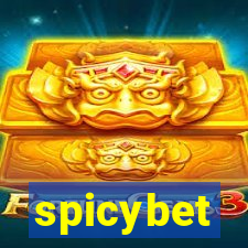 spicybet-1.com