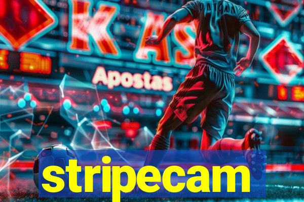 stripecam